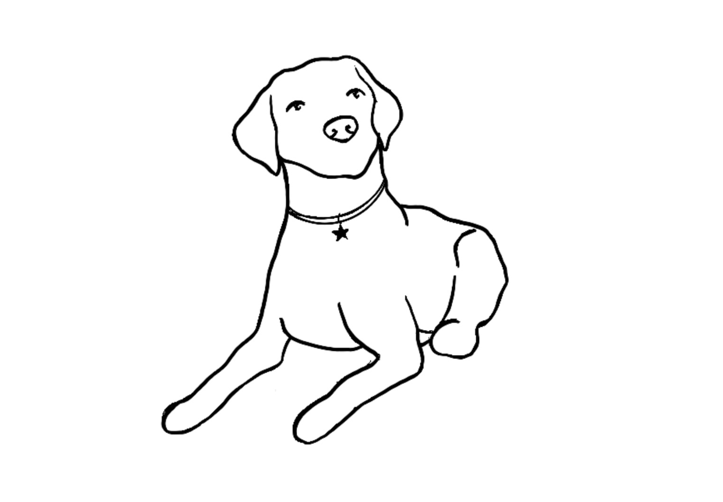 Louzita Illustration Hund