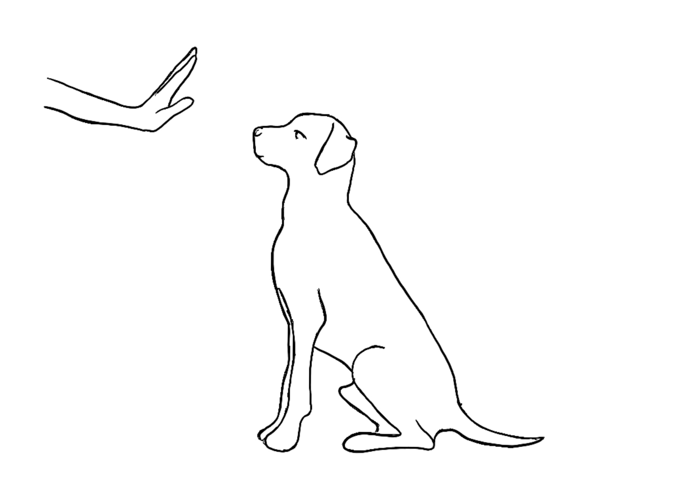 Louzita Illustration Hund
